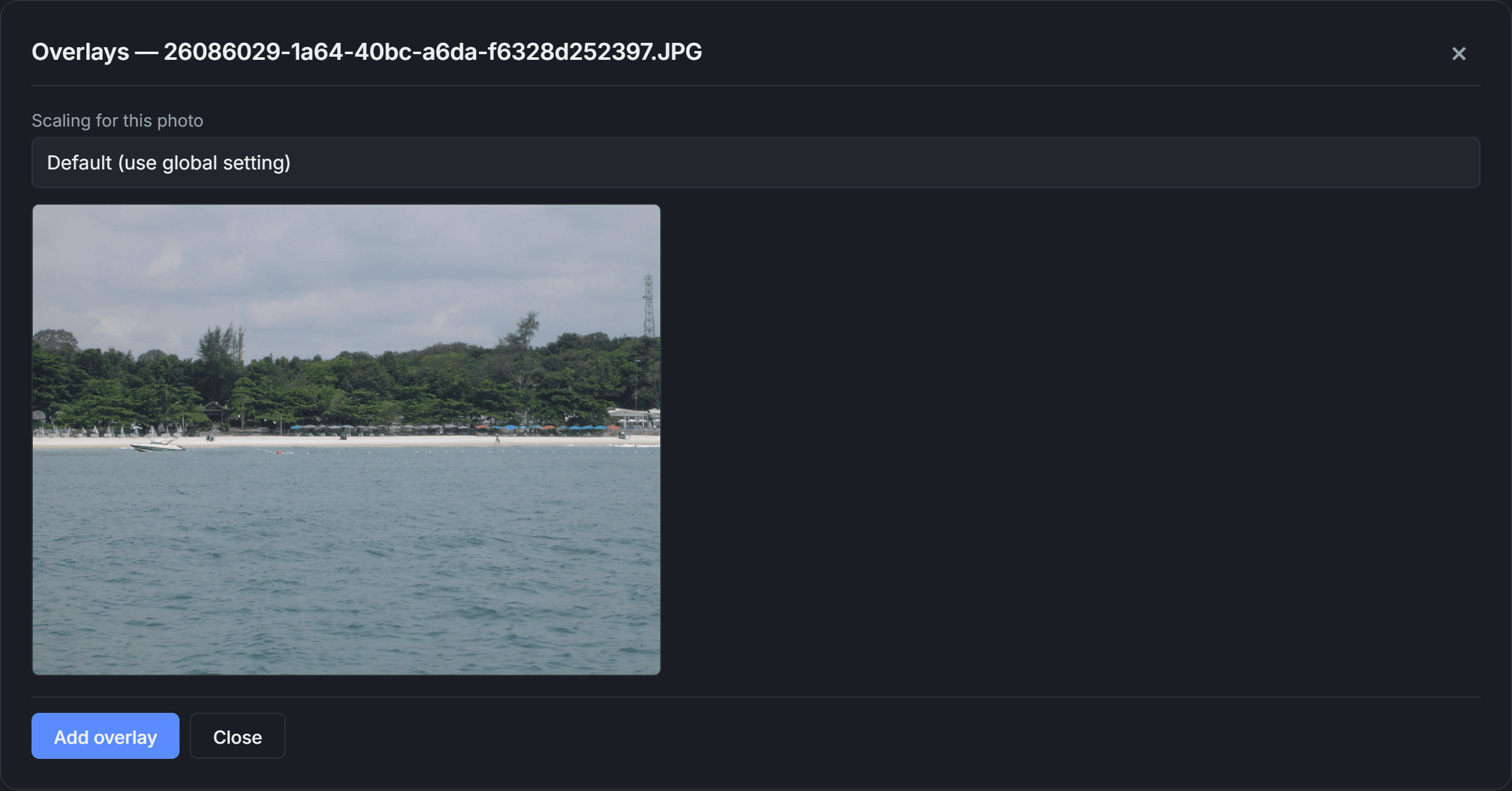 Per-photo overlay editor showing scaling options and an image preview
